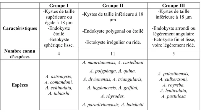 Tableau 1: Classification des acanthamibes sur des critères morphologiques [11,15] 