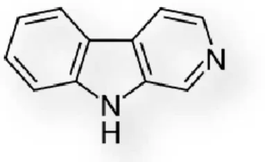 Figure 16 : Structure de base des β-carbolines 