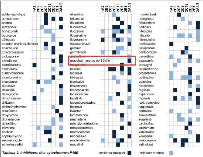 Figure 3 : Interactions médicamenteuses et cytochrome P450 (source :  Centre d'information  thérapeutique et de pharmacovigilance Service de pharmacologie et toxicologie cliniques, Hôpitaux 