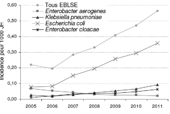 Figure 4 : Répartition par espèce bactérienne au sein des EBLSE, Réseau BMR-Raisin, résultats 2011 