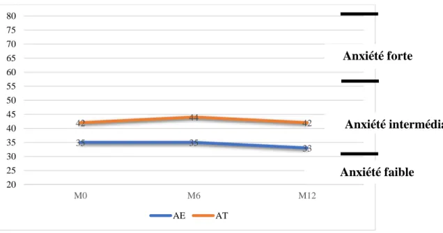 Figure 20 : Evaluation du score d’anxiété Trait (AT) et Etat (AE) au cours du temps 