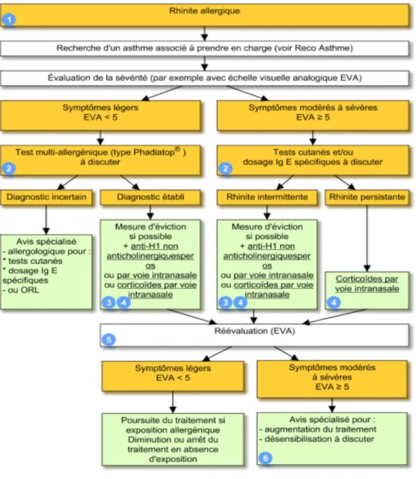 Figure 11 : Traitement de la rhinite allergique (16) 