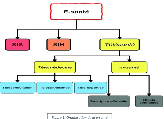 Figure 1: Organisation de la e-santé