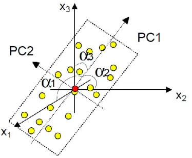 Figure 11 : Représentation des angles des paramètres par rapport à la composante PC1 