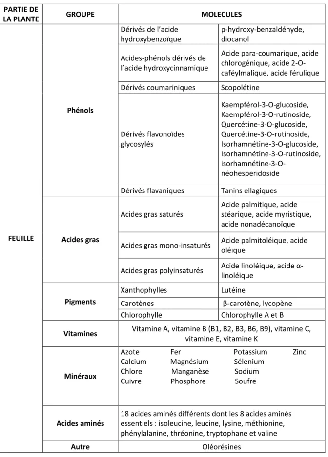 Tableau 3 : Récapitulatif des composés présents dans Urtica dioica L. 