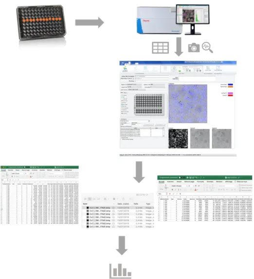 Figure 7 – Fonctionnement du Microscope Cx7 Cellnsight HCS 