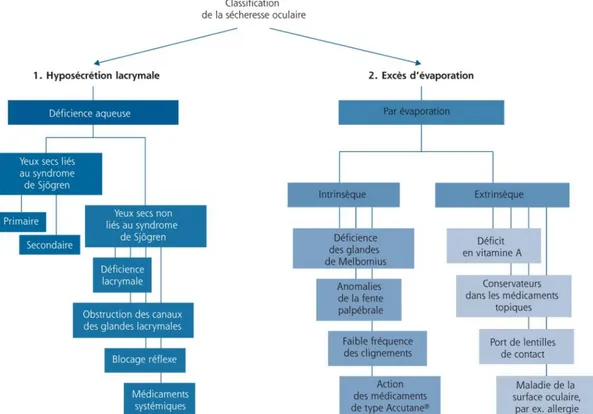 Figure 1 -Différentes catégories étiologiques de syndromes secs  [2] 