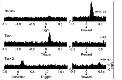 Figure 14 : Transfert de la réponse dopaminergique au signal prédictif le plus précoce (23)   Le premier graphique illustre l’activité dopaminergique croissante suite à l’obtention d’une  récompense