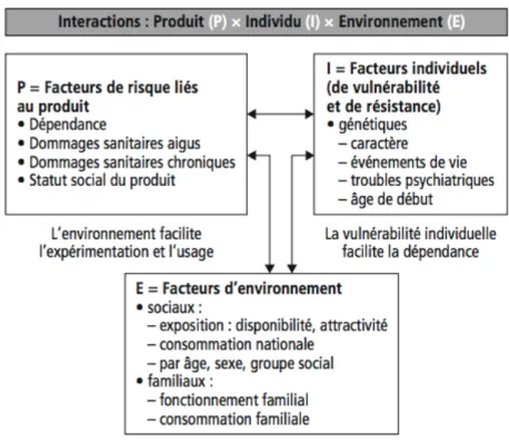 Figure 4 : Les interactions des facteurs à l'origine de l'addiction (8) 