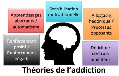 Figure 10 : Les théories de l'addiction (22) 