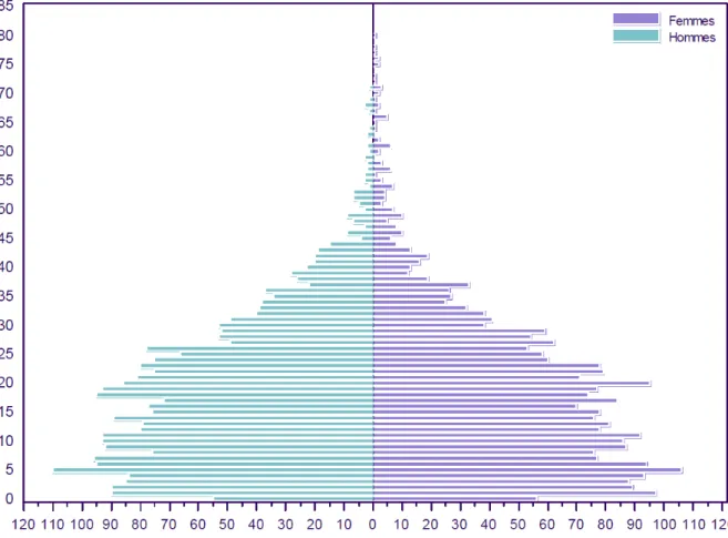 Figure 3. Pyramide des âges des patients de mucoviscidose en 2010, d’après le RFM [1]