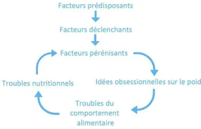 Figure 2 : Représentation schématique des facteurs de risque et boucle d’entretien des TCA 