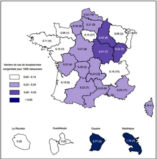 Figure 13 : Distribution régionale du nombre de cas de toxoplasmose congénitale diagnostiqués en France en  2013 pour 1000 naissances 