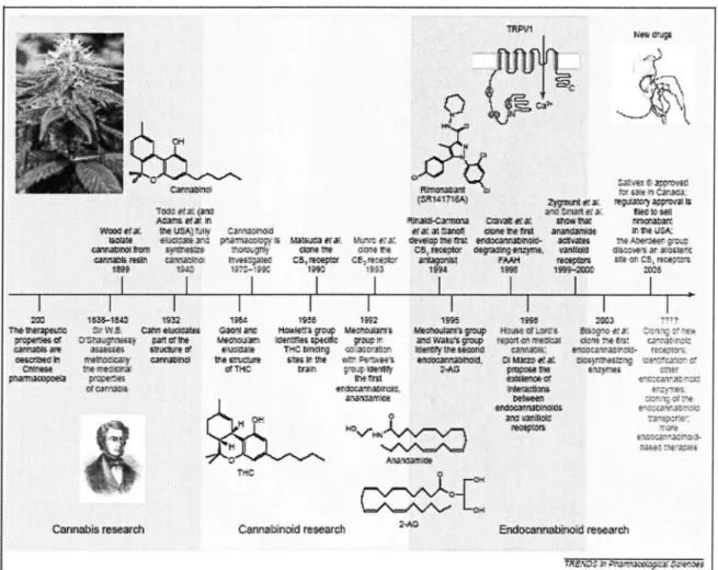 Figure 2 : Evénements majeurs de l'histoire de la recherche sur le  cannabis et  le système endocannabinoïde [13]