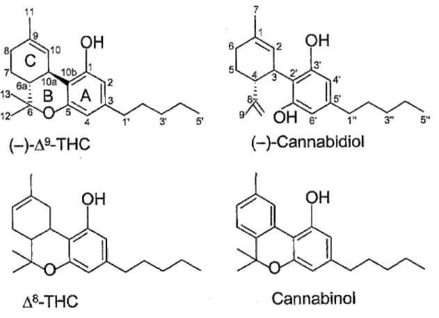 Figure 4 : Structure de quatre phytocannabinoïdes [21] 