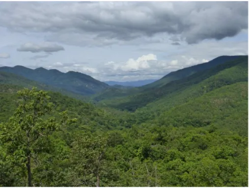 Figure 2 : Chaine montagneuse du Nord de la Thaïlande, Province de  Chiang Mai 