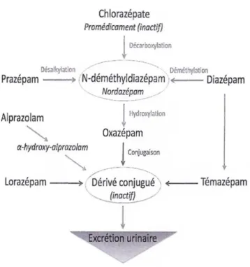 Figure 3 : Voies métaboliques de quelques benzodiazépines (72) 