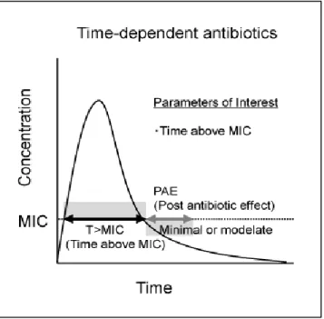 Figure 7 : Relation PK/PD des antibiotiques temps dépendants 