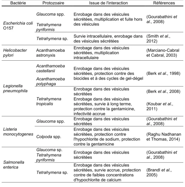 Tableau  1.1  Liste  des  combinaisons  bactérie-protozoaire  où  l’enrobage  de  bactéries a été observé