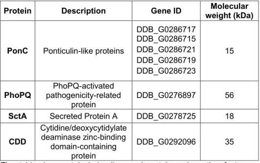 Table 2.1. Major proteins associated with MLBs based on mass spectrometric  analyses. 