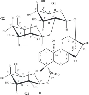 Figure 11 : Structure du stévioside montrant la partie aglycone au centre, entourée par des groupements  glucose G1, G2 et G3  [ 52 ] 
