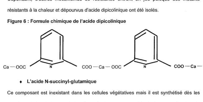 Figure 6 : Formule chimique de l'acide dipicolinique 