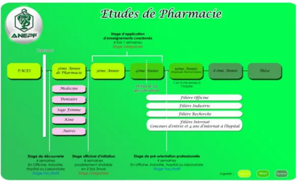 Figure n°1 : Etudes de pharmacie depuis 2010-2011. 