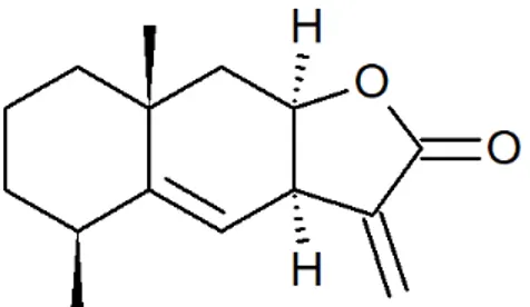Figure 15 : molécule d'alantolactone