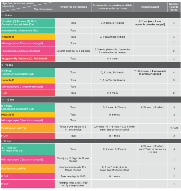 Figure 11 : Calendrier de rattrapage en 2014 des vaccinations de base recommandées pour les enfants à partir d’un  an, les adolescents et les adultes jamais vaccinés (18) 