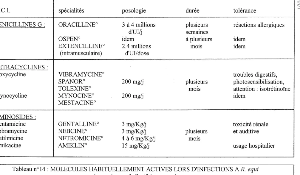Tableau n°14 : MOLECULES HABITUELLEMENT ACTIVES LORS D'INFECTIONS  AR. equi  (sous réserve de !'antibiogramme) 