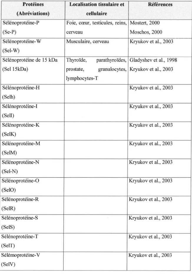 Tableau  5 :  Sélénoprotéines humaines ayant des fonctions inconnues (Salah  Galah, 2004) 