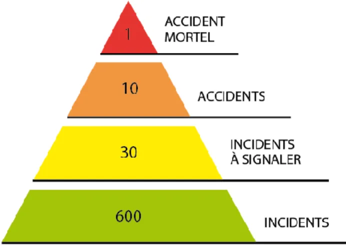 Figure 2: Représentation de la pyramide des risques selon Bird (57) 