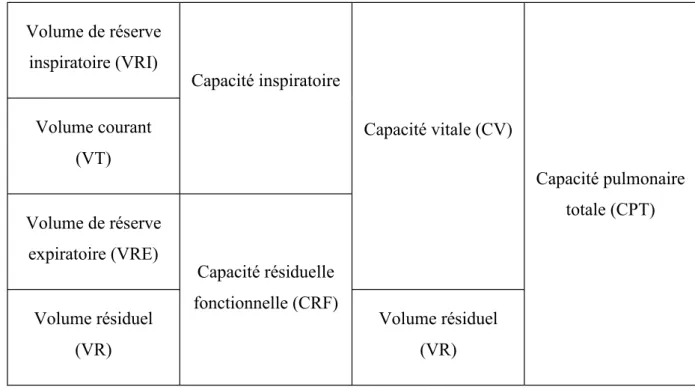 Figure 4 : Tableau des répartitions des volumes respiratoires 