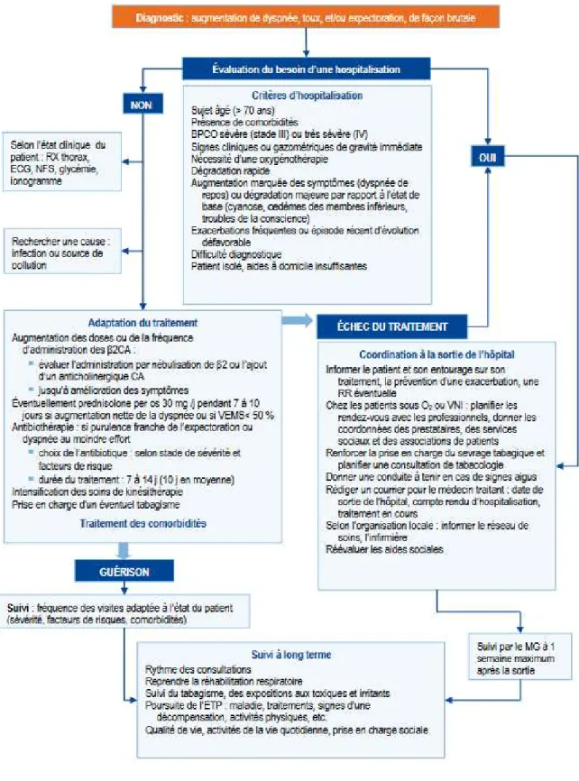 Figure 20 : Arbre décisionnel de la prise en charge de BPCO 51