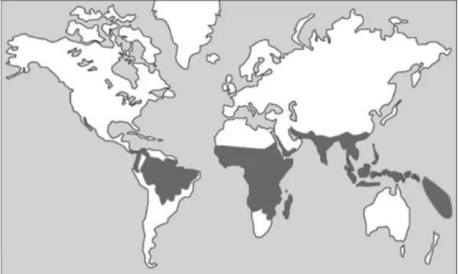 Figure 7. Répartition géographique du  paludisme à P. falciparum (7) 