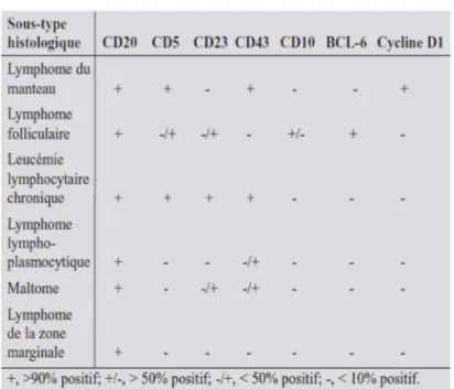 Tableau  1. Diagnostic différentiel des principaux LNH  en fonction de  l’immuno­phénotypage et d’autres  marqueurs immuno­histochimiques