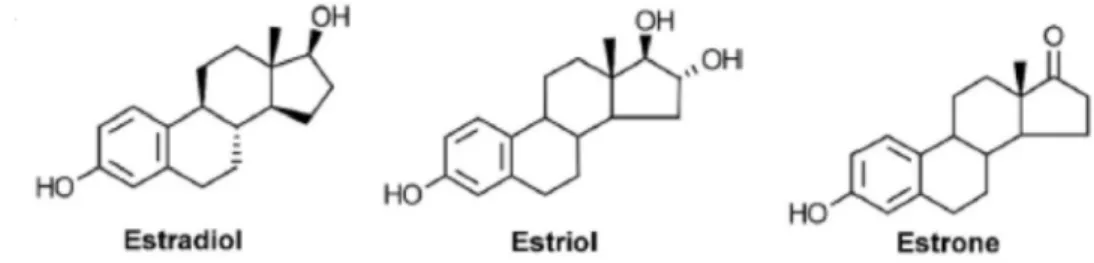Figure 7 : Structures de l’estradiol, chef de file des œstrogènes, de l’estriol et de l’estrone (73).