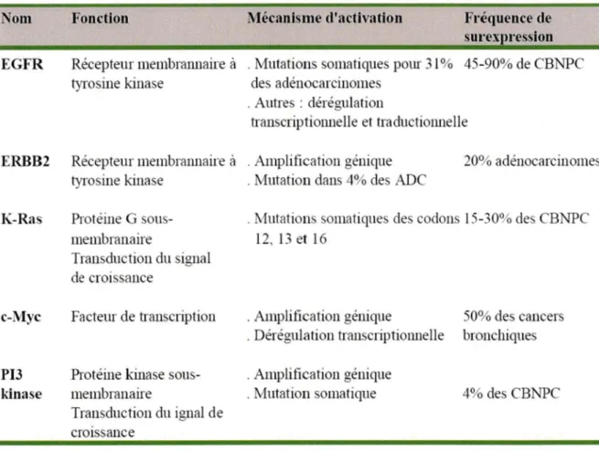 Tableau 2. Principaux oncogènes impliqués dans la carcinogenèse des CBNPC  D'après (Risch and Plass 2008), (Sanchez-Cespedes 2003) and (Breuer et al.,  2005) 