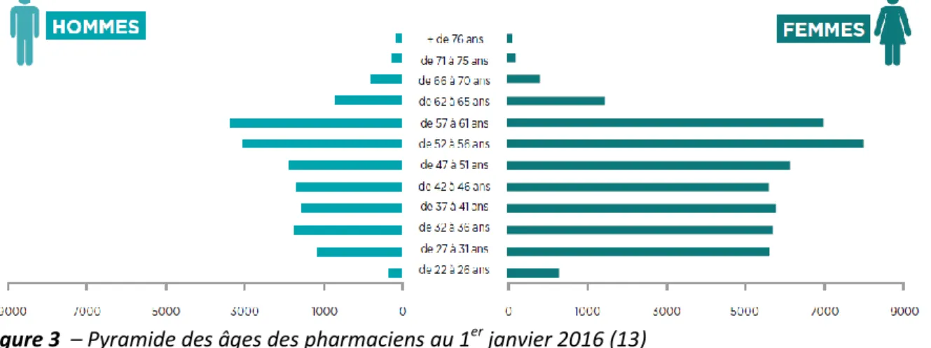 Figure 3  – Pyramide des âges des pharmaciens au 1 er  janvier 2016 (13) 