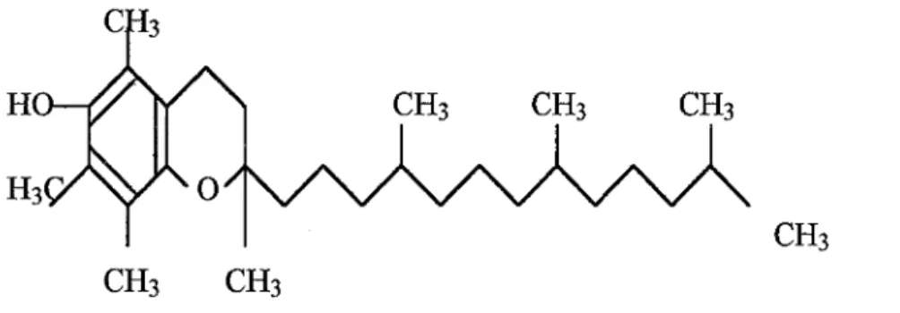 Figure 17 : Représentation de la vitamine E (76) 