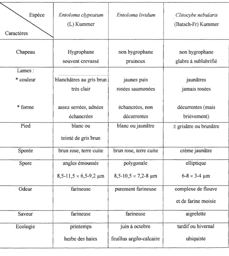 Tableau I : Principales différences entre  E.lividurn, E.clypeaturn  et  C.nebularis. 