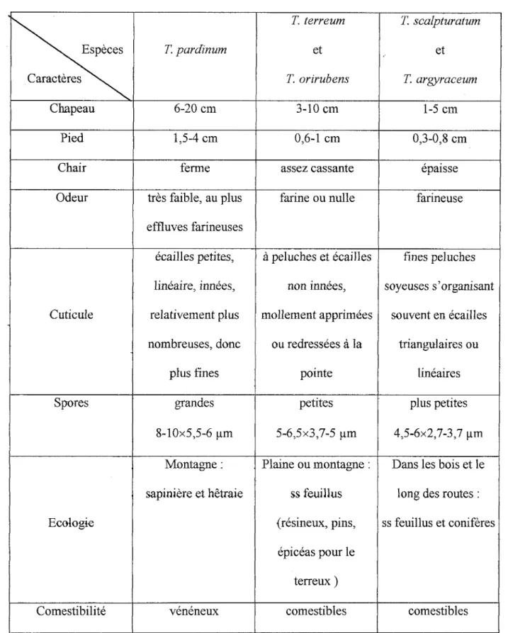 Tableau IV : Caractères de distinction entre les différents Tricholomes. 