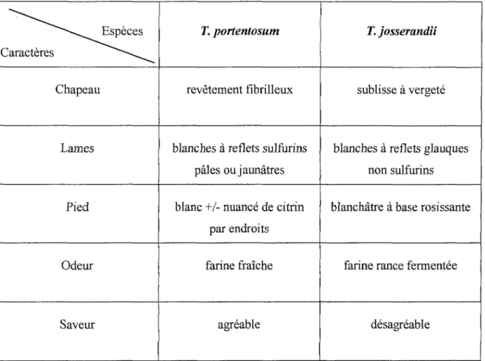 Tableau VI : Distinction entre T.  portentosum et T.  josserandii 