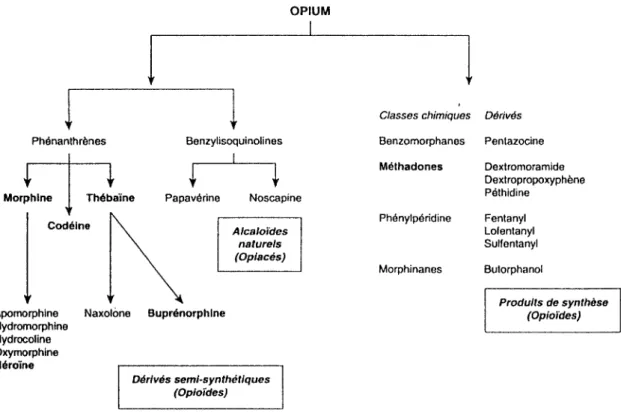 Tableau des dérivés de l'opium  d'après J.H. Jaffe et  W.R. Martin 