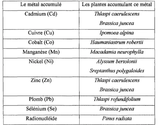 Tableau  2:  Quelques plantes hyperaccumulatrices: 