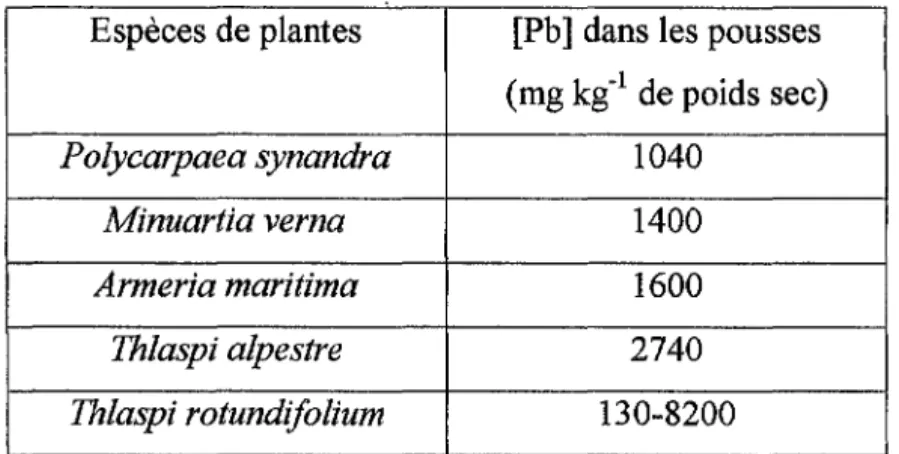 Tableau 3: Les plantes hyperaccumulatrices de Pb (d'après Huang et at2, 1997) 