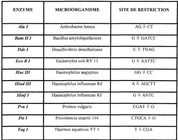 Tableau des différentes enzymes de restriction utilisées en Médecine Légale 