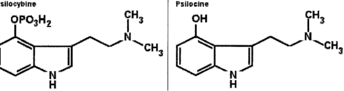Figure 16:  la  psilocybine et la psilocine 