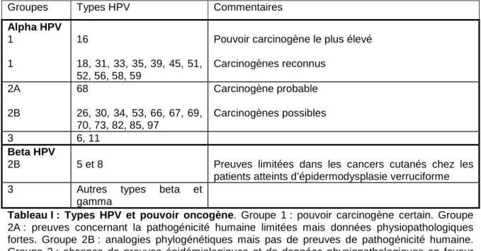 Tableau I :  Types  HPV  et  pouvoir  oncogène.  Groupe  1 :  pouvoir  carcinogène  certain