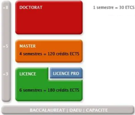 Figure 4 : Schéma des études supérieures dans le cadre du système LMD. 